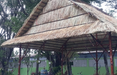 Thi Công Nhà Lá Cỏ Tranh