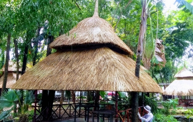 Thi Công Chòi Lá Cỏ Tranh Miền Tây