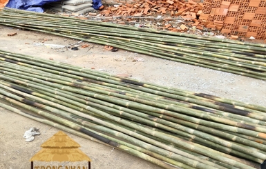 Đơn Vị Bán Cây Tầm Vông Làm Nhà Mái Lá Giá Rẻ, Uy Tín