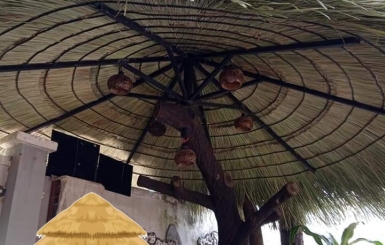 Kiến thức cần thiết khi chọn chòi lá sân vườn