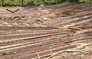 Đơn vị bán lá dừa nước lợp nhà giá rẻ, uy tín - Trọng Nhân