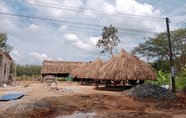 Xu hướng thiết kế nhà mái lá gây ấn tượng trong kiến trúc hiện đại