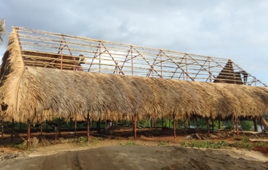  Lá dừa nước có thể lợp cho loại mái công trình nào?