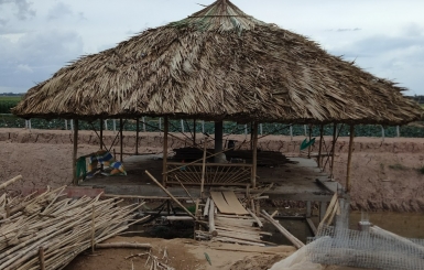 Thiết kế chòi lục giác đẹp, chất lượng cho mọi công trình