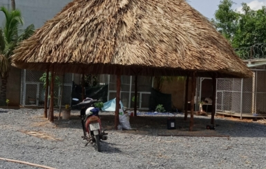 Chòi gỗ có thể chịu được mưa gió không?