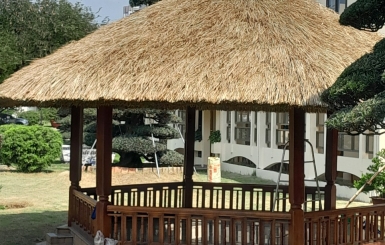 Đơn vị thiết kế chòi lá chuyên nghiệp, uy tín