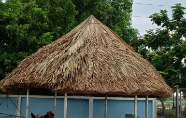 Chòi gỗ có thể sử dụng làm quán cafe không?