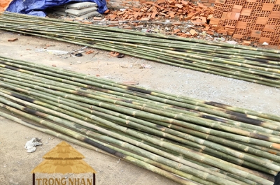 Đơn Vị Bán Cây Tầm Vông Làm Nhà Mái Lá Giá Rẻ, Uy Tín