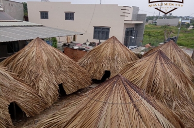 Đơn Vị Làm Lá Cọ Lợp Nhà Chuyên Nghiệp, Uy Tín Tại Miền Nam