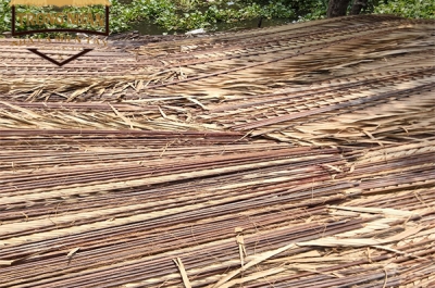 Chi Phí Xây Dựng Nhà Lá Tổng Thể – Nhà Lá Miền Tây