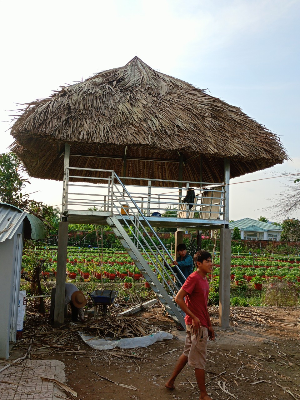 chòi cafe