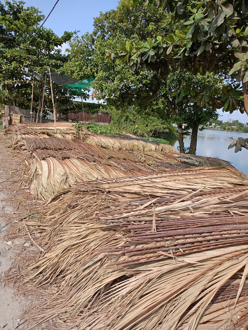 lá dừa nước lợp nhà