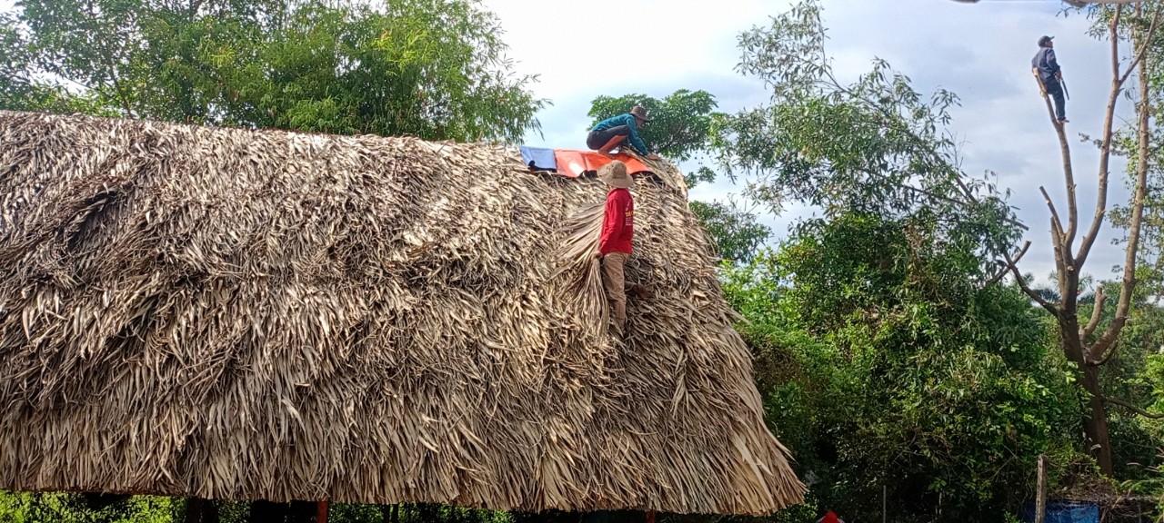 lợp nhà bằng lá dừa