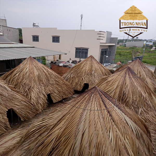 Nhà mái lợp lá dừa khô xong khi hoàn thành xong