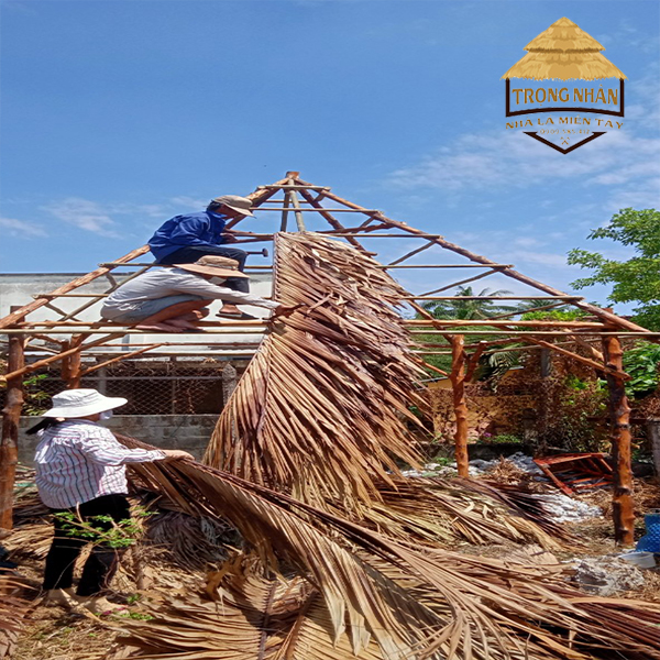 Nhân viên của nhà lá miền tây đang tiến hành làm nhà mái lợp lá dừa khô